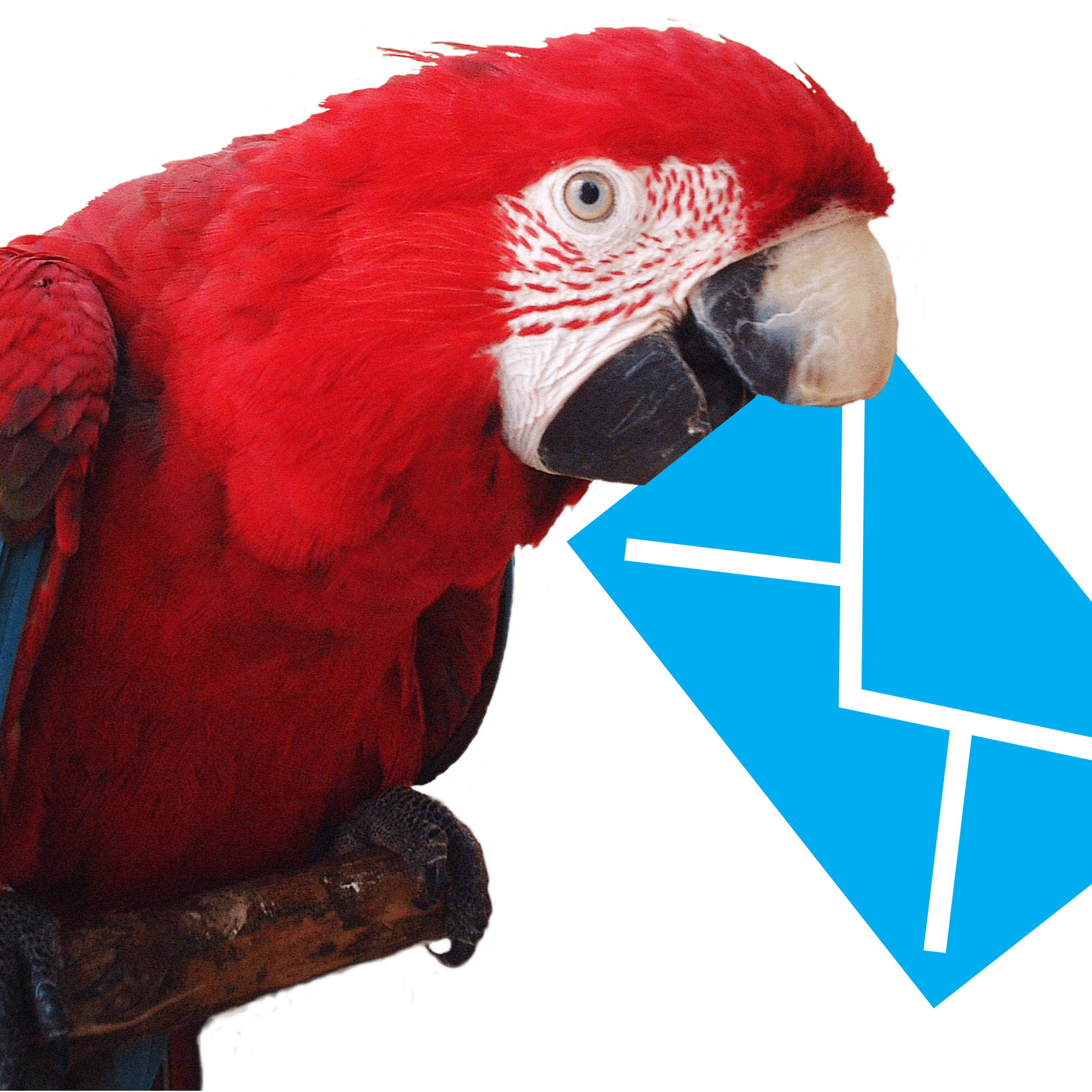 Newsletter Papageien Wellensittiche