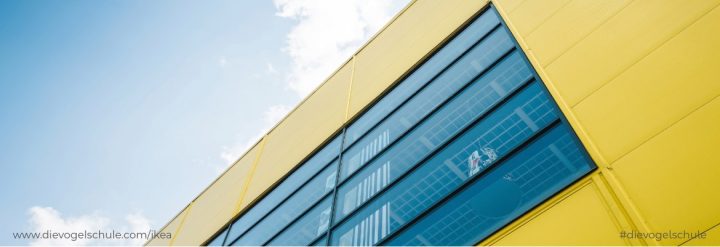 Basteln mit IKEA für Papageien & Sittiche