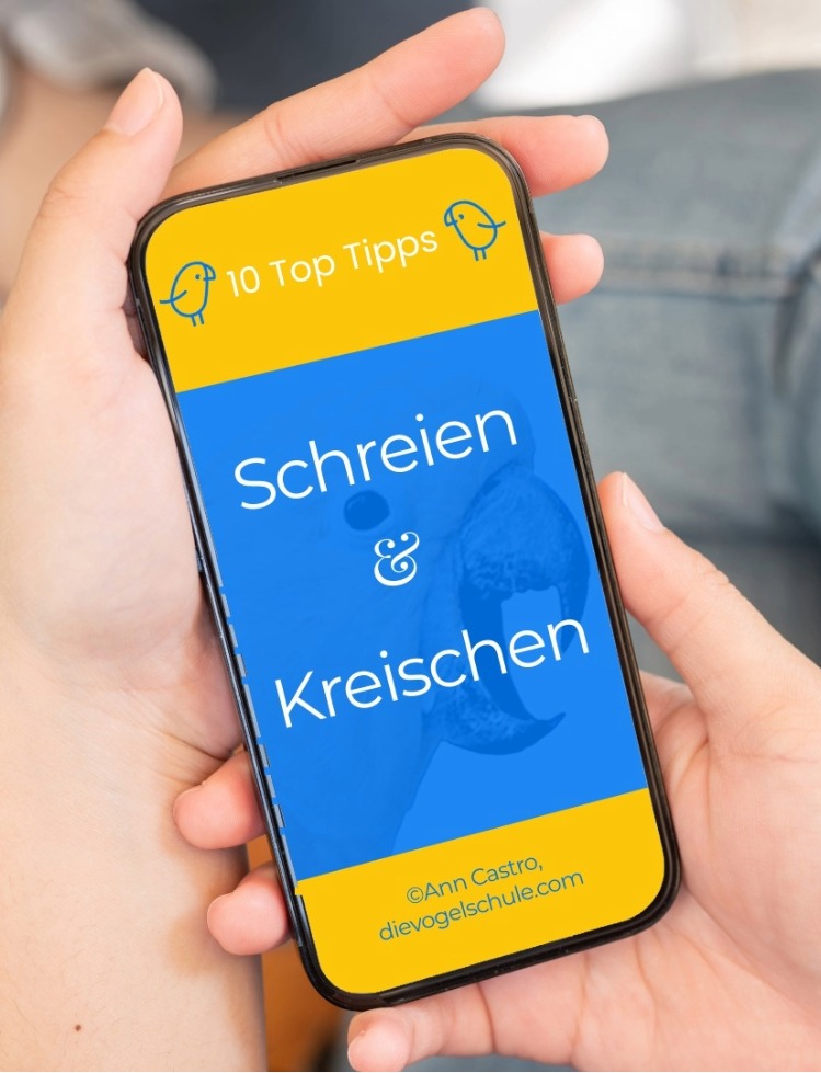 10-Tipps-SCHREIEN-KREISCHEN-PAPAGEIEN-SITTICHE-LB Schreien & Kreischen bei Papageien & Sittichen Top Tipps