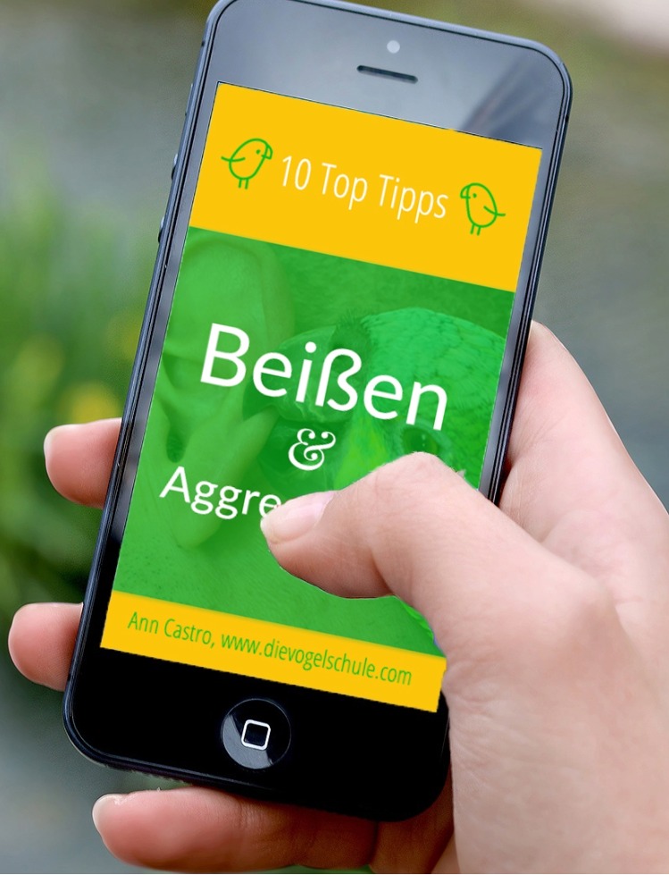 BEISSEN-AGGRESSIONEN-PAPAGEIEN-SITTICHE-LB Beißen & Aggressionen Papageien Top TIpps