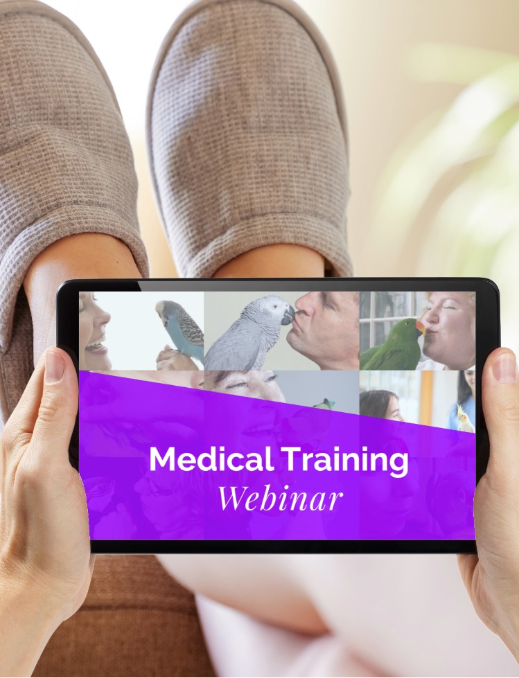 Medical-Training-PAPAGEIEN-SITTICHE-Webinar-LB Medical-Training für Papageien & Sittiche kostenloses Webinar